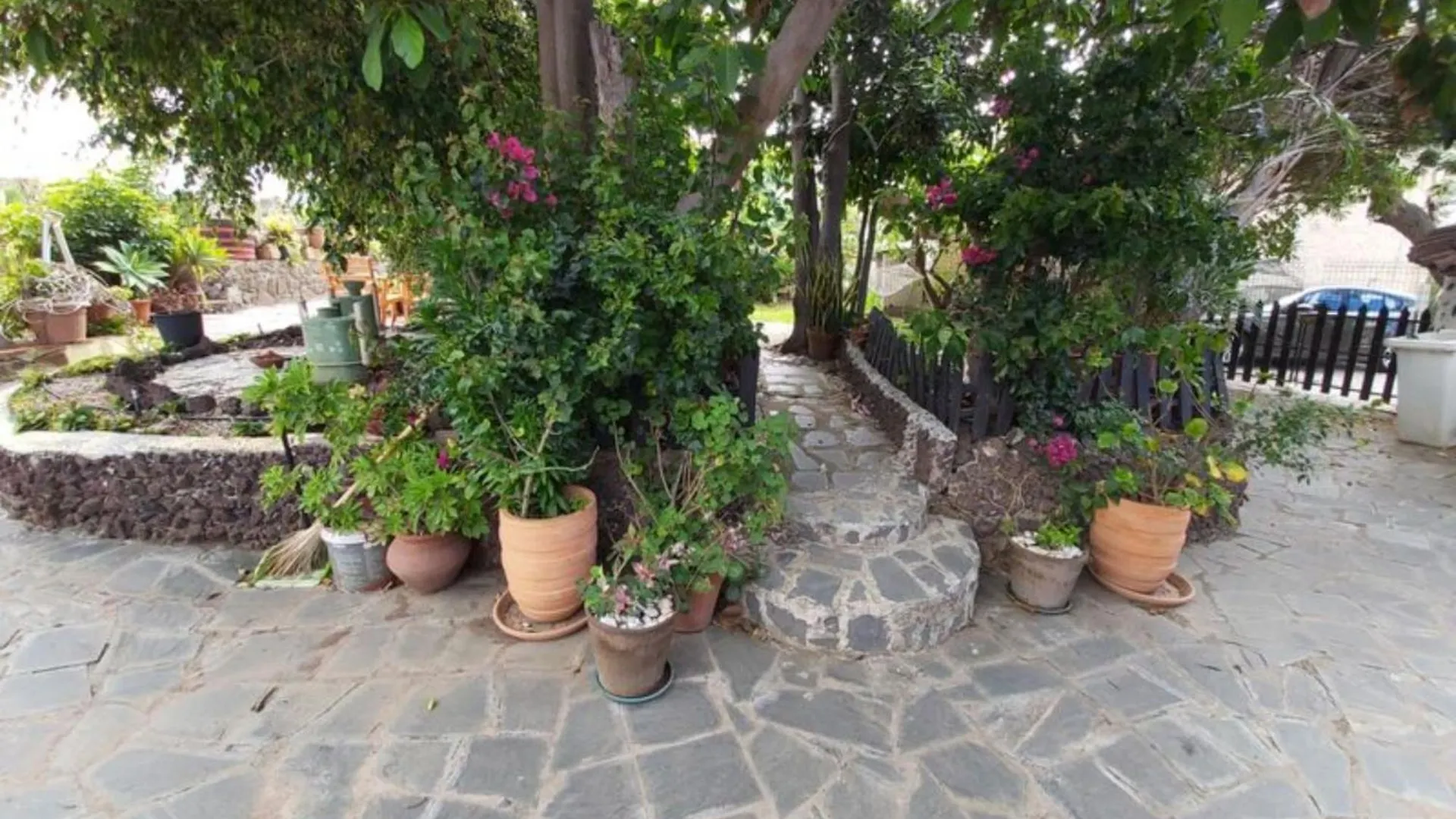 Rural House In The North Of Tenerife Las Toscas Spain